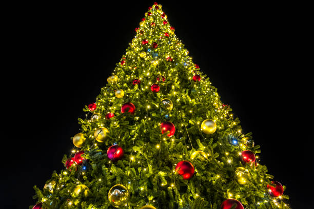 istock Beautiful christmas tree with lights glowing 877105778