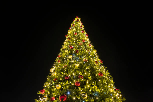 istock Beautiful christmas tree with lights glowing 877106254