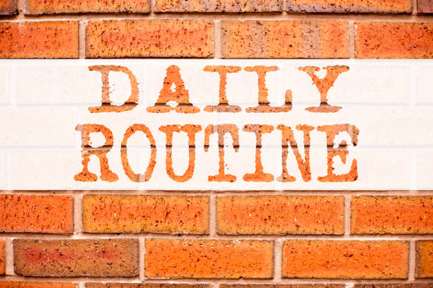 istock Conceptual announcement text caption inspiration showing Daily Routine. Business concept for Accuracy Procedure written on old brick background with copy space 877106740