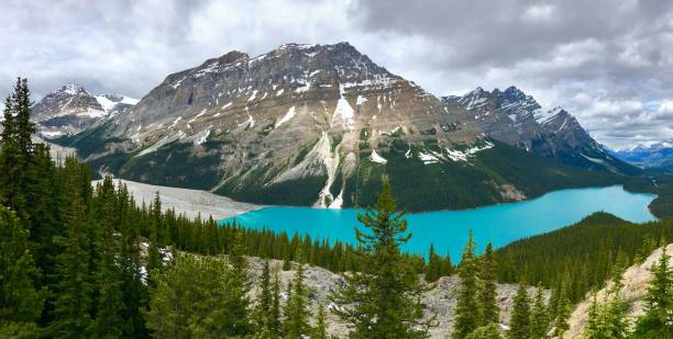 istock Canadian Landscapes - Jasper National Park 877109472