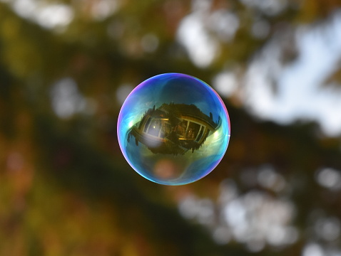 One single soap bubble with reflection of a house floating in the air beside a tree