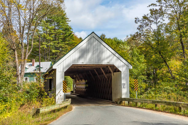 istock famous Williamsville covered bridge 877115172
