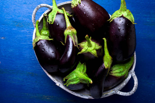 istock Fresh eggplant in grey basket on blue wooden table.Rustic background. Top view. Copy space. Vegan vegetable. 877117908