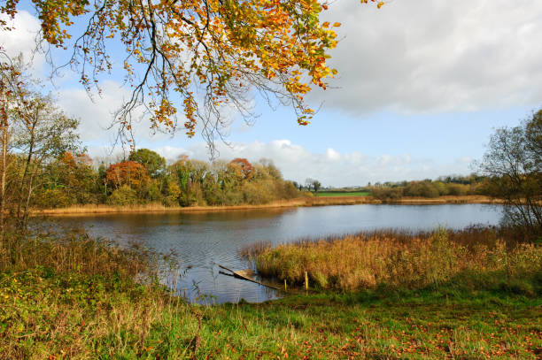 istock Autumn season 877118786