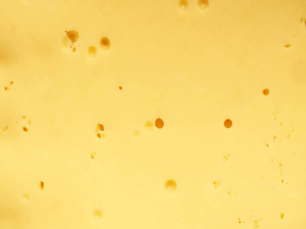 tekstura sera. naturalne kulinarne tandetne tło, produkt mleczny - yellow cheese thin portion zdjęcia i obrazy z banku zdjęć