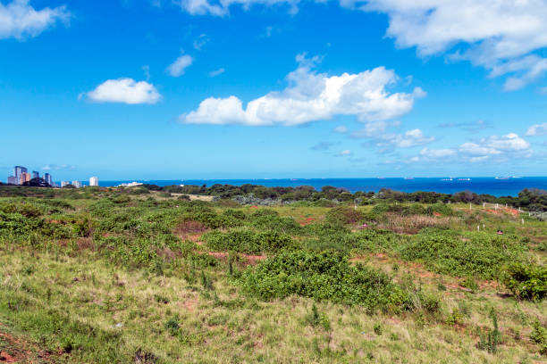 istock Coastal Vegetation Sea Ships and Blue Cloudy Sky Landscape 877125350