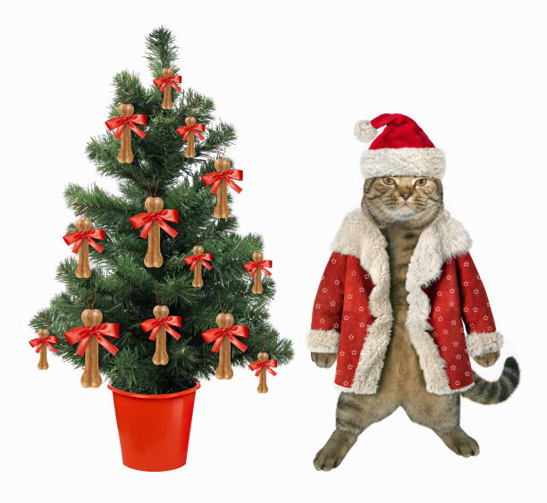 istock Cat near Christmas tree 877132422