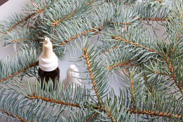 istock Spray nasal. The bottle with the medicine, with the cap removed, stands on the white surface of the table. Surrounded by branches of blue spruce. 877134708