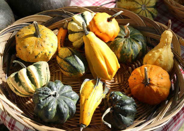 istock wicker basket with decorative pumpkins for halloween party 877141036