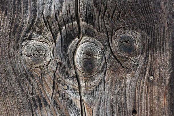 istock Brown wooden background texture 877141460