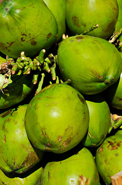 Green coconut stock photo