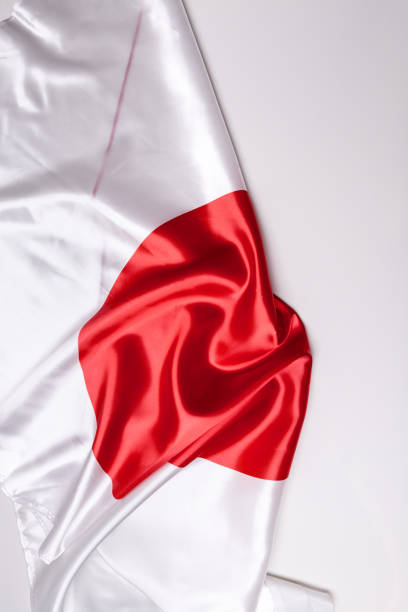 istock Authentic flag of the Japan 877144258