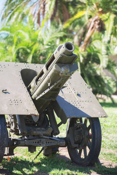 istock Old war cannon in the forest. 877144464