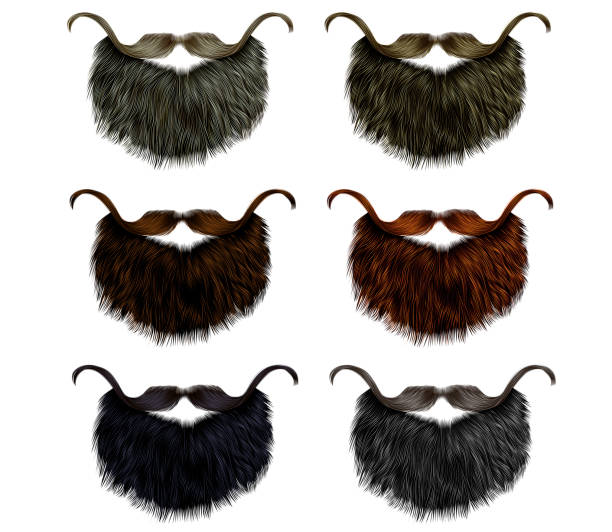 set long  beard and mustache different colors.fashion beauty style . set long  beard and mustache different colors.fashion beauty style . long beard stock illustrations