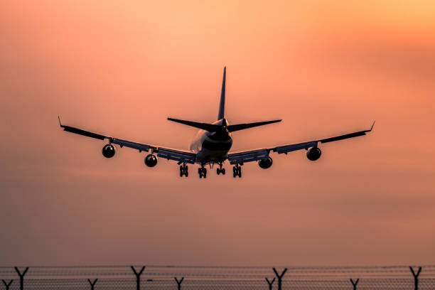 istock Airplane landing at sunset 877147336