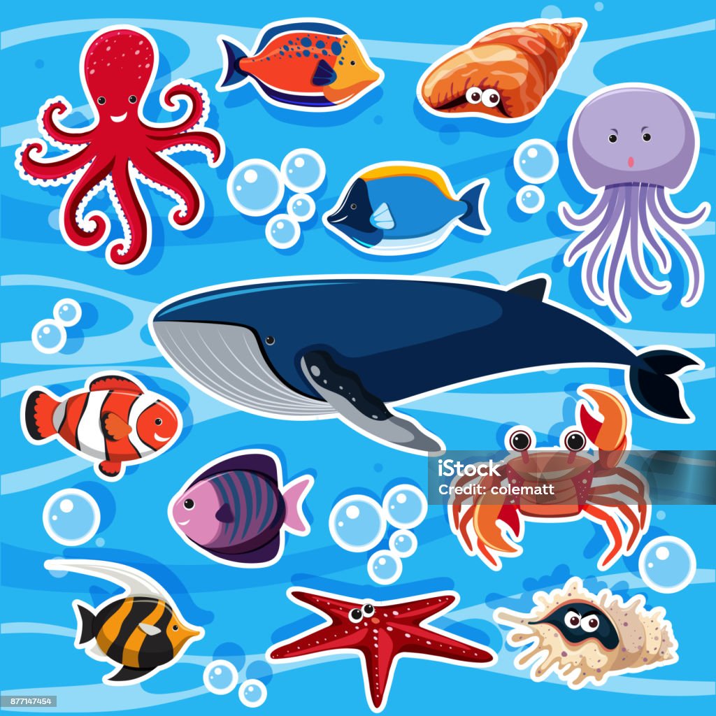 Sticker Template With Many Sea Animals Stock Illustration - Download Image  Now - Jellyfish, Animal, Aquatic Organism - iStock