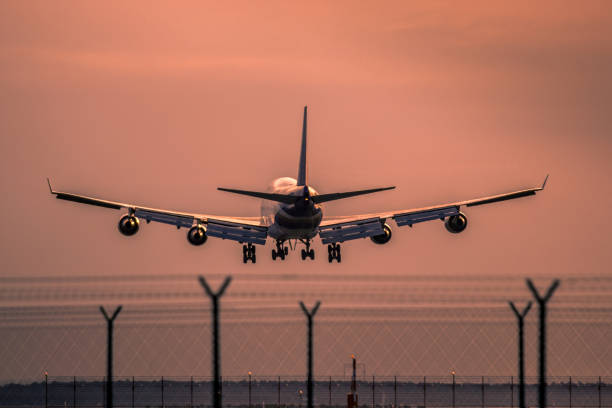 istock Airplane landing at sunset 877149440
