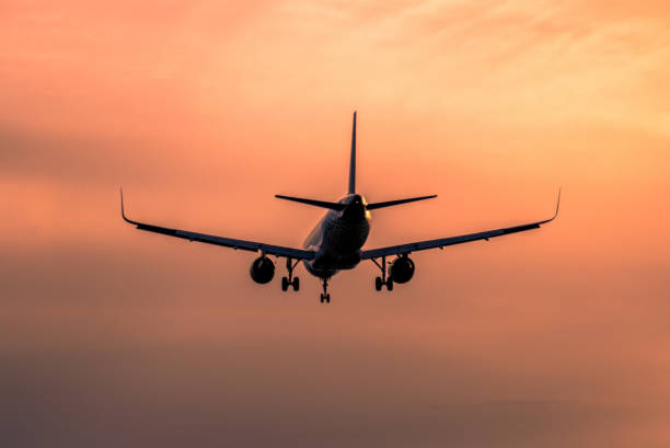 istock Airplane landing at sunset 877152088