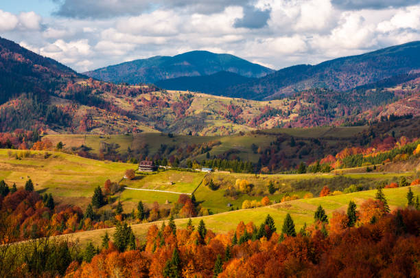 istock forested rural area on rolling hills in autumn 877152532