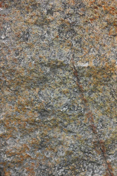 istock Granite background, stone texture, natural pattern, abstract background, highly detailed texture, minimalism, gray quartz background, granite texture for designer, extraterrestrial background 877159654