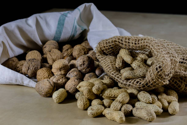 istock Fresh nuts in a jute bag on a wooden kitchen table. Italian hazelnuts in the kitchen before Christmas. Black background 877165410