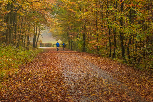 istock Tricity Landscape Park 877174668