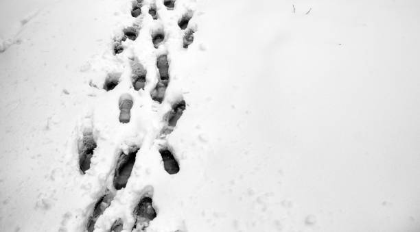 istock Footprints in the snow. Footprints on the first snow. Imprint an 877174900