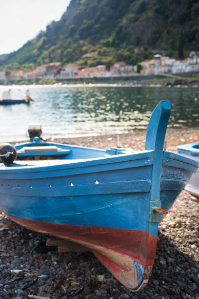 istock boats moored on shore 877177686