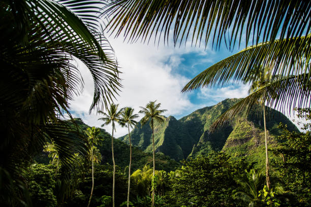 istock Hawaii scenery, North Shore of Kauai 877180746
