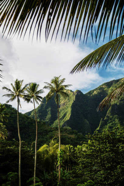 istock Hawaii scenery, North Shore of Kauai 877180772