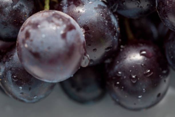 istock Black grapes with drop of water isolated on white background. 877180968