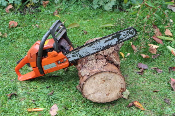 istock Chain saw on a log 877183860