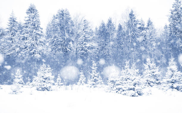 istock Landscape in the winter day 877184162