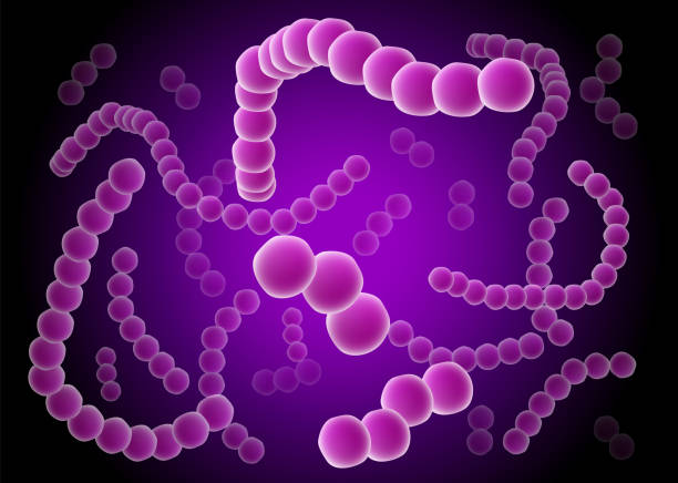 세균성 세포의 식민지입니다. 벨벳 발광, 보라색 바이러스, 생물체 박테리아, 미생물, 세균 배경. - bacterium staphylococcus colony epidemic stock illustrations
