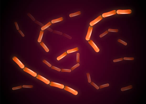 illustrazioni stock, clip art, cartoni animati e icone di tendenza di colonia di cellule batteriche. virus della luminescenza arancione, batteri flagello, microbo, sfondo germinale. - bacterium staphylococcus colony epidemic