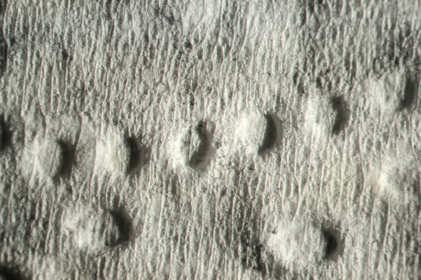 istock texture. enlarged with a slit lamp paper tissue for hands 877186748