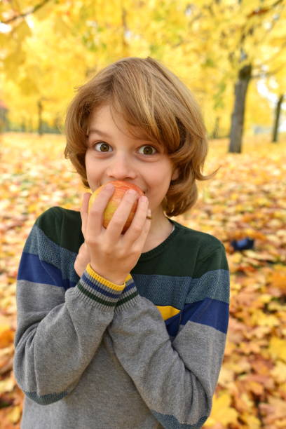 istock Autumn children in the park 877187084