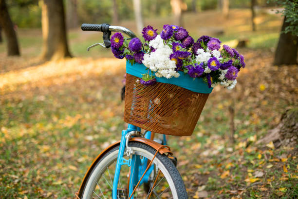 istock Blue vintage bicycle with basket with flowers. 877188084