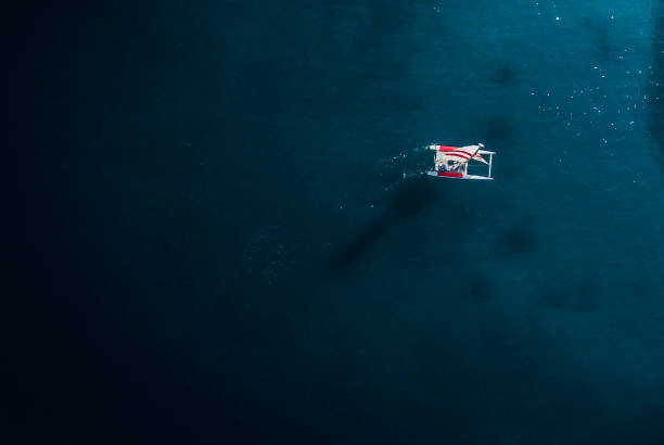 istock Sailing at the Ocean 877188286