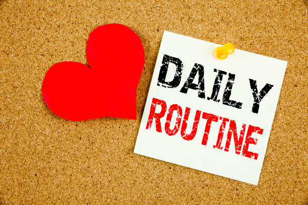 istock Conceptual hand writing text caption inspiration showing Daily Routine concept for Accuracy Procedure and Love written on sticky note, reminder cork background with copy space 877193550