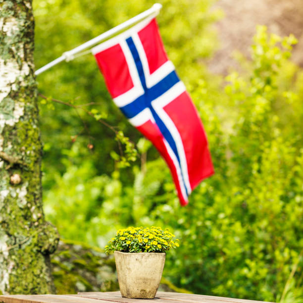 istock norwegian flag and green picnic site 877193826