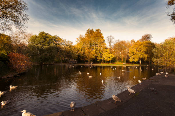 istock Green Park Autumn and buildings reflection in Dublin 877193934