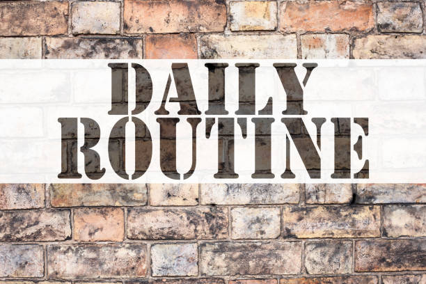 istock Conceptual announcement text caption inspiration showing Daily Routine. Business concept for Accuracy Procedure written on old brick background with copy space 877194038