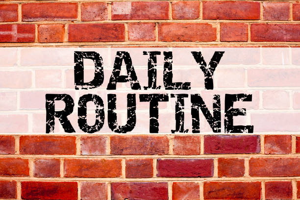 istock Conceptual announcement text caption inspiration showing Daily Routine. Business concept for Accuracy Procedure written on old brick background with copy space 877194144