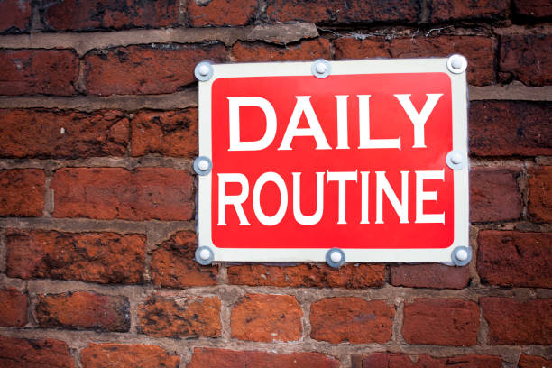 istock Hand writing text caption inspiration showing Daily Routine concept meaning Accuracy Procedure written on old announcement road sign with background and copy space 877194194