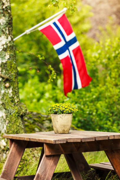 istock norwegian flag and green picnic site 877194968