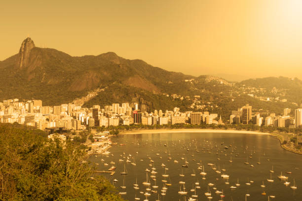 보타 비치와 리오 데 자네이 지구 - christ the redeemer aerial view beach tree 뉴스 사진 이미지