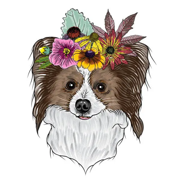 Vector illustration of Papillon puppy in the exotic flower roses wreath crown. Tattoo or T - shirt dress poster boho Chic dog portrait concept. Fashion illustration. Hand drawn domestic dog vector.