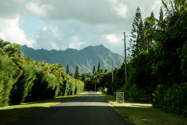 istock Hawaiian road, Kauai islands 877201204
