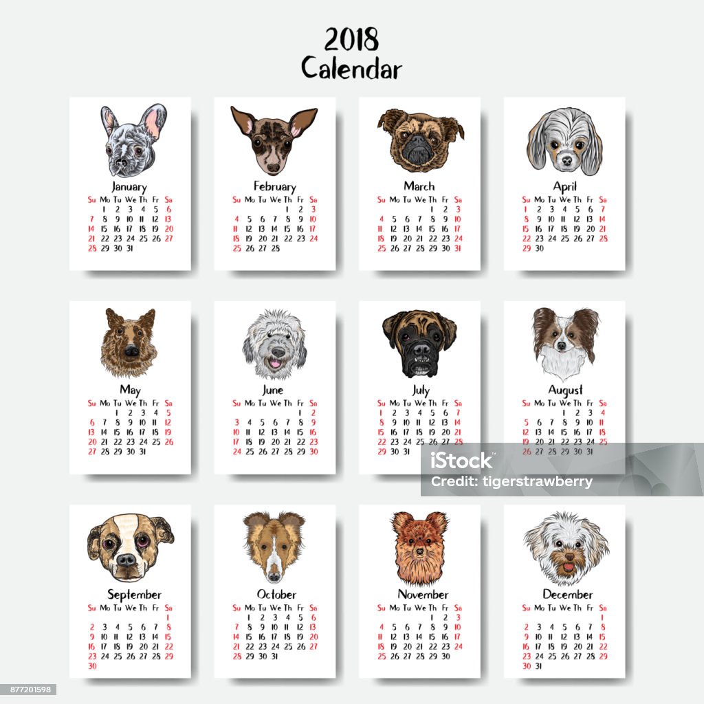Funny Happy Dogs Calendar 2018 Design Chinese New Year The Year Of The Dog  Zodiac Monthly Cards Templates Set Of 12 Month Cute Doggy Vector Stock  Illustration - Download Image Now - iStock